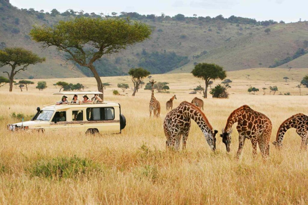 Serengeti Safari Tanzania 2025-2026: The Complete Guide for an Unforgettable Adventure