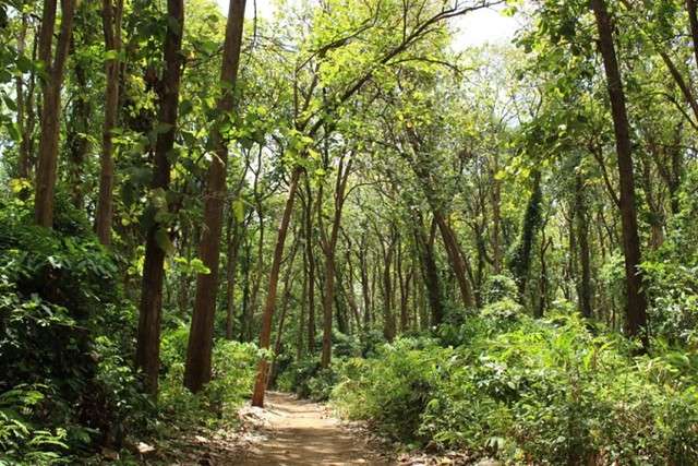 Where to Visit in Moshi.