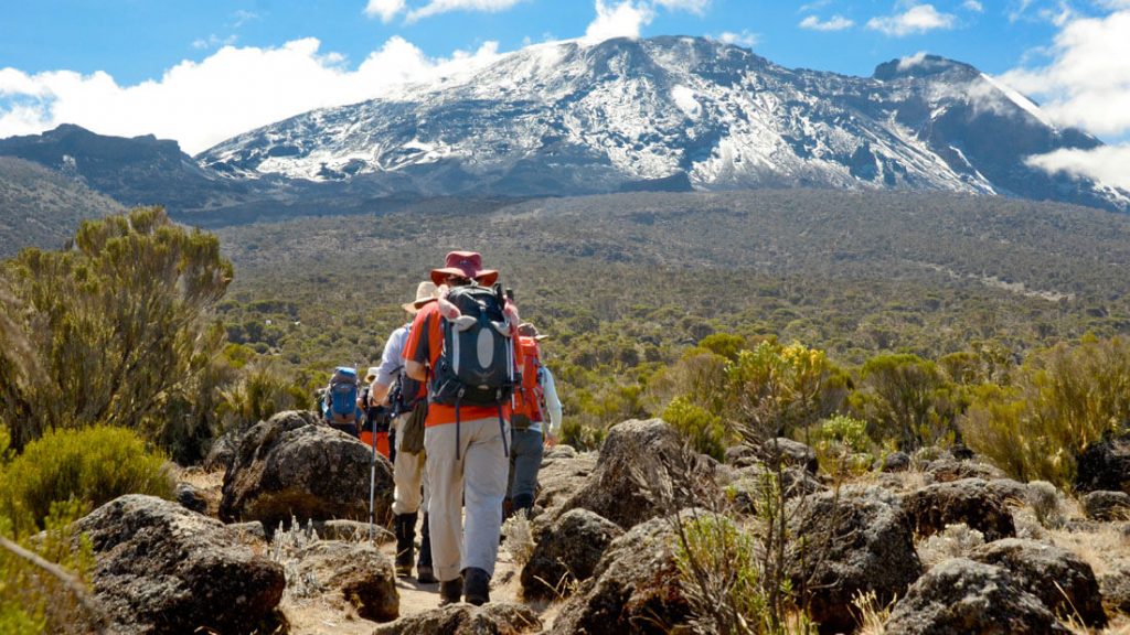 Climbing Mount Kilimanjaro via Lemosho Route
