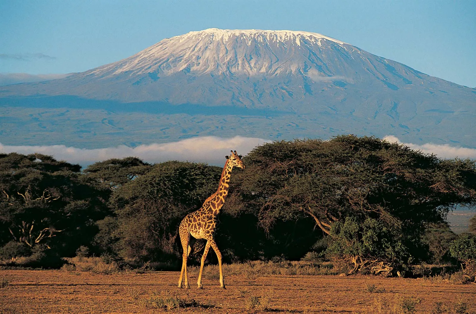 Mount-Kilimanjaro-Tanzania.