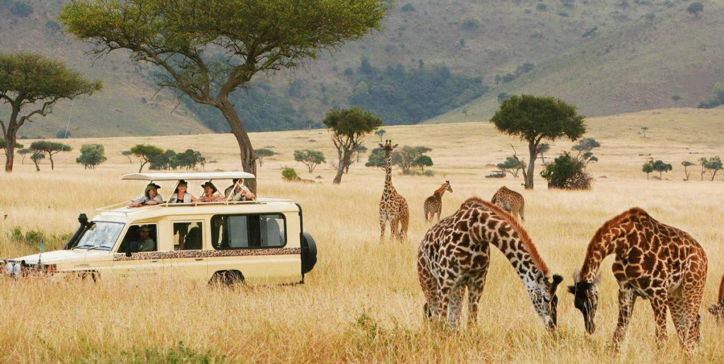 Tanzania Safari Guide