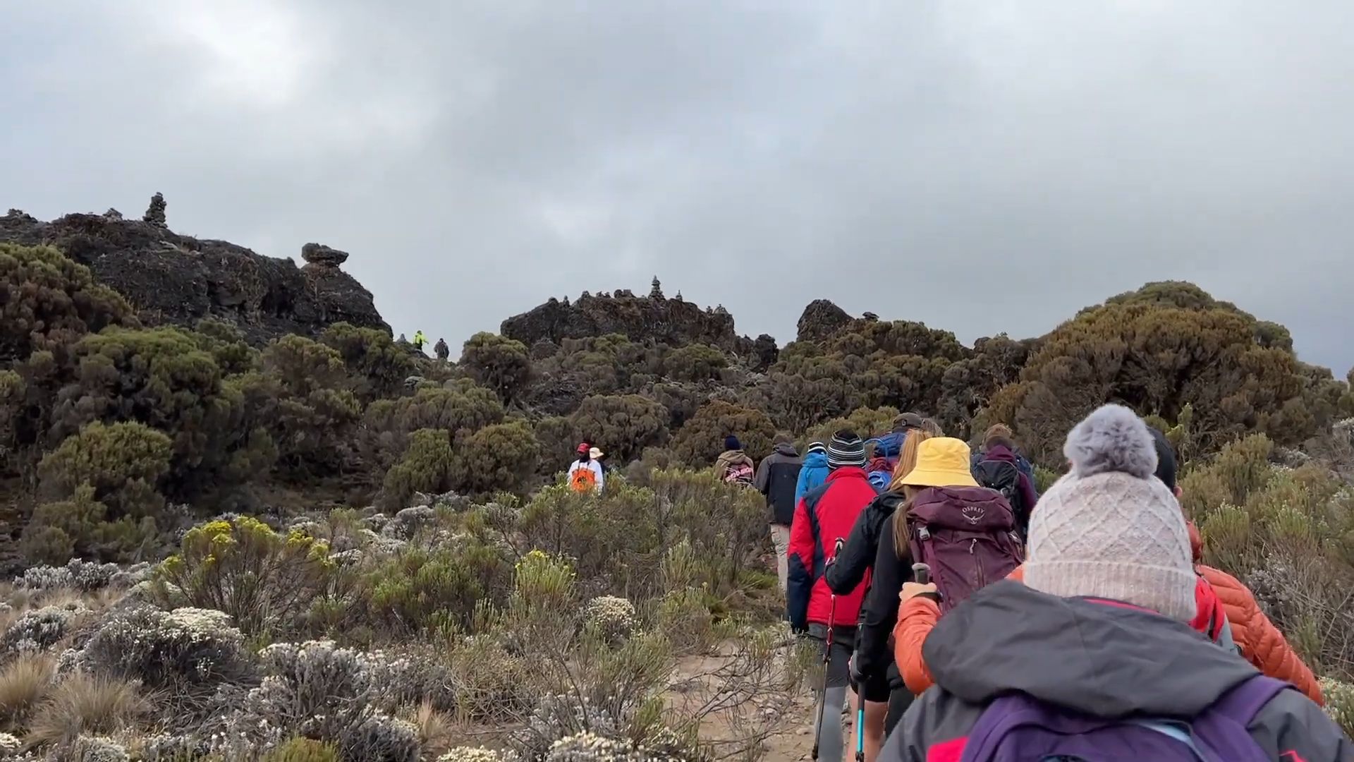 Kilimanjaro_Climb_Machame_Route
