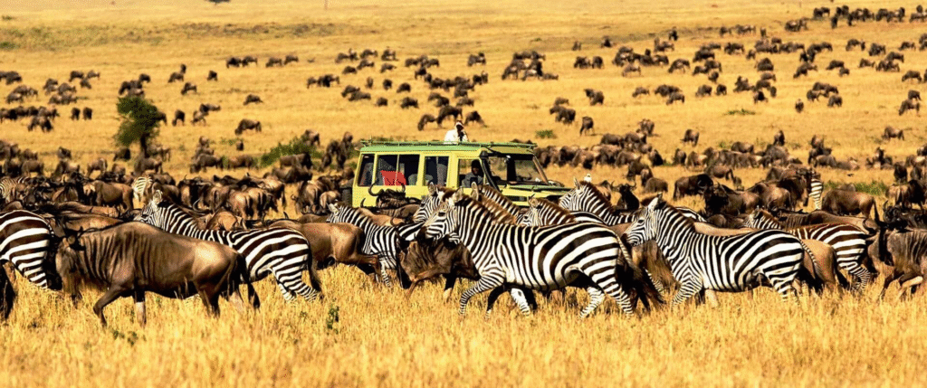Tanzania and Zanzibar Travel Itineraries 2025-2026