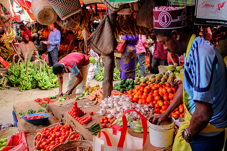 Markets Beyond Shopping: Tanzanian Safari Experiences
