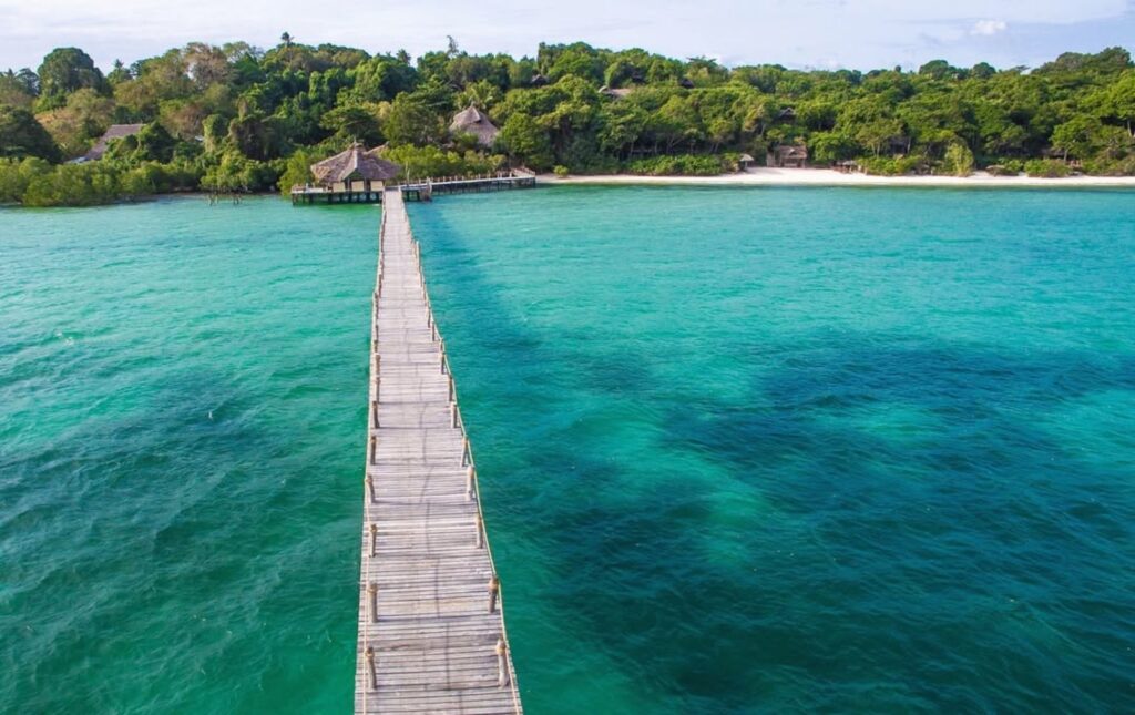 Best Scuba Diving Spots in Tanzania Islands